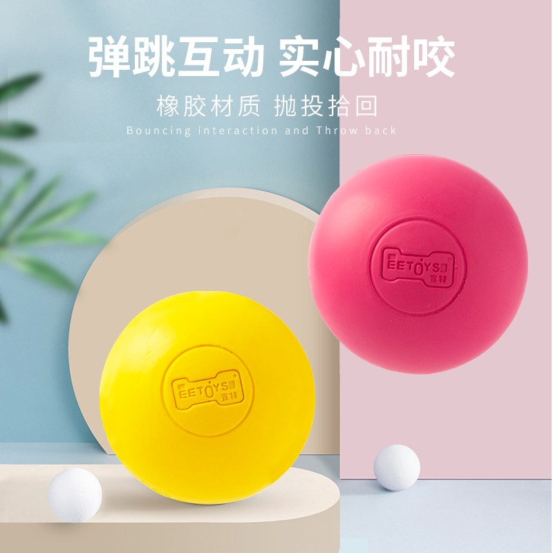 ��ʵ����