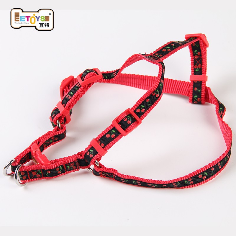 ����ǣ�������