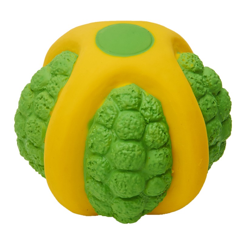 ����Բ��