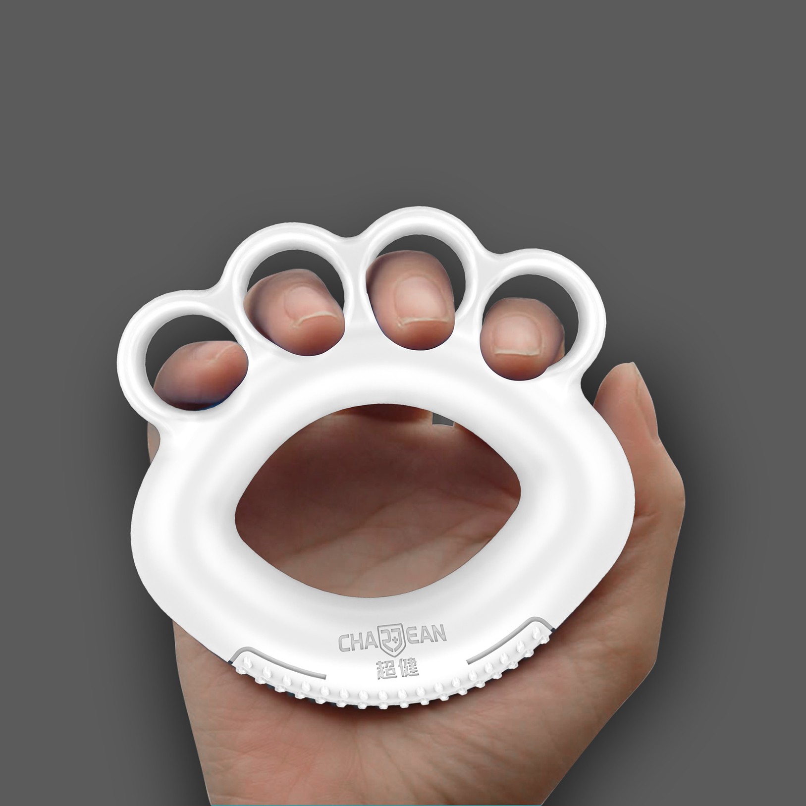 ��ָ����������