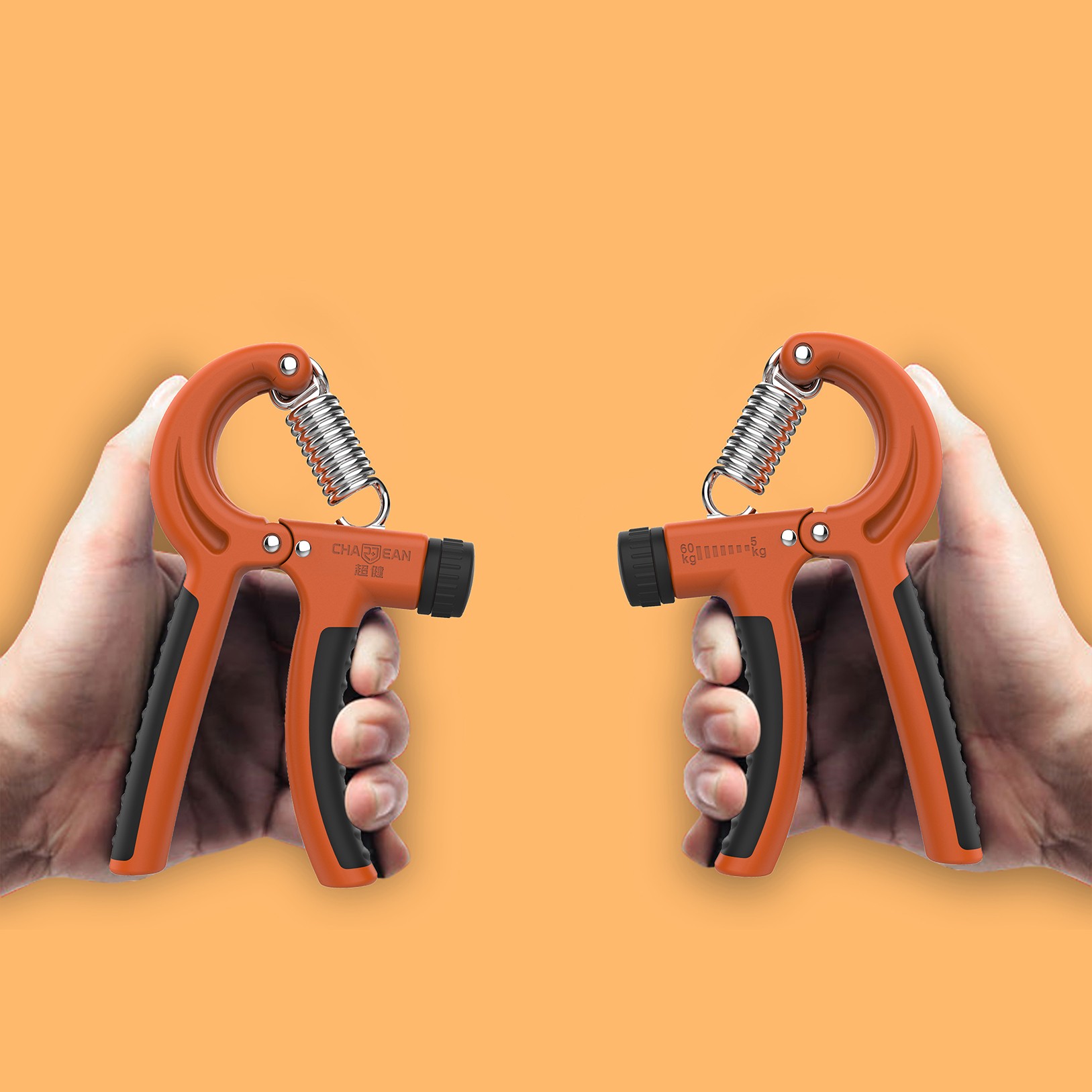 ��ָ����������