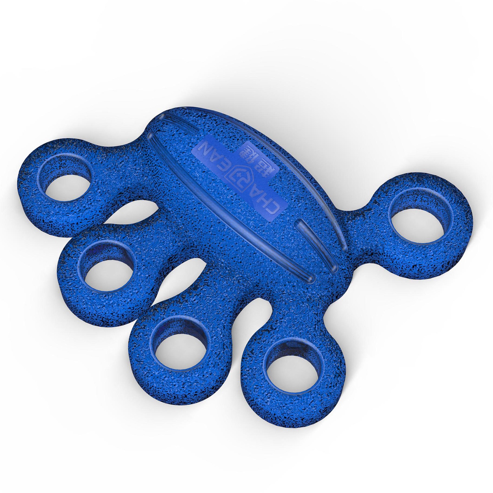 ��ָ������