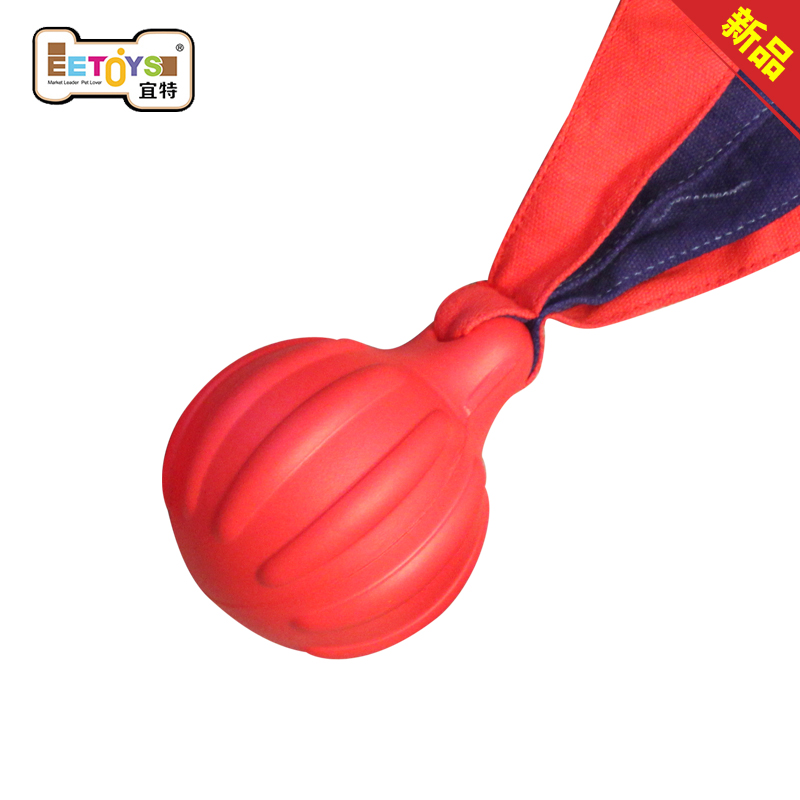 TPR����ѵ����