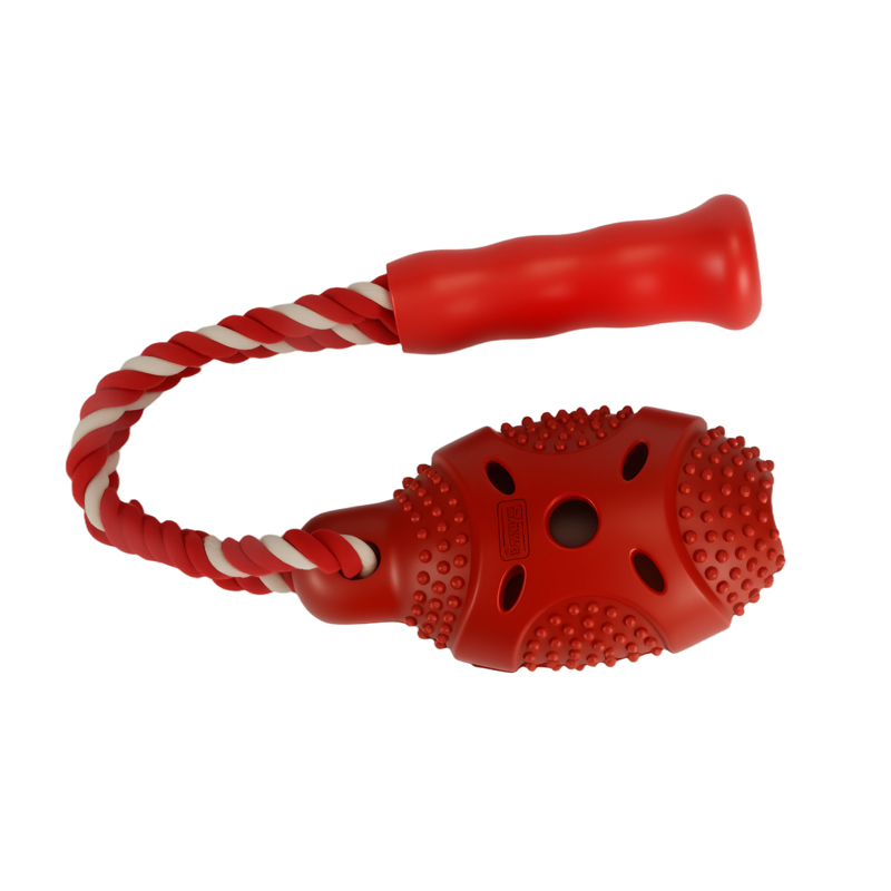 ������Բ����