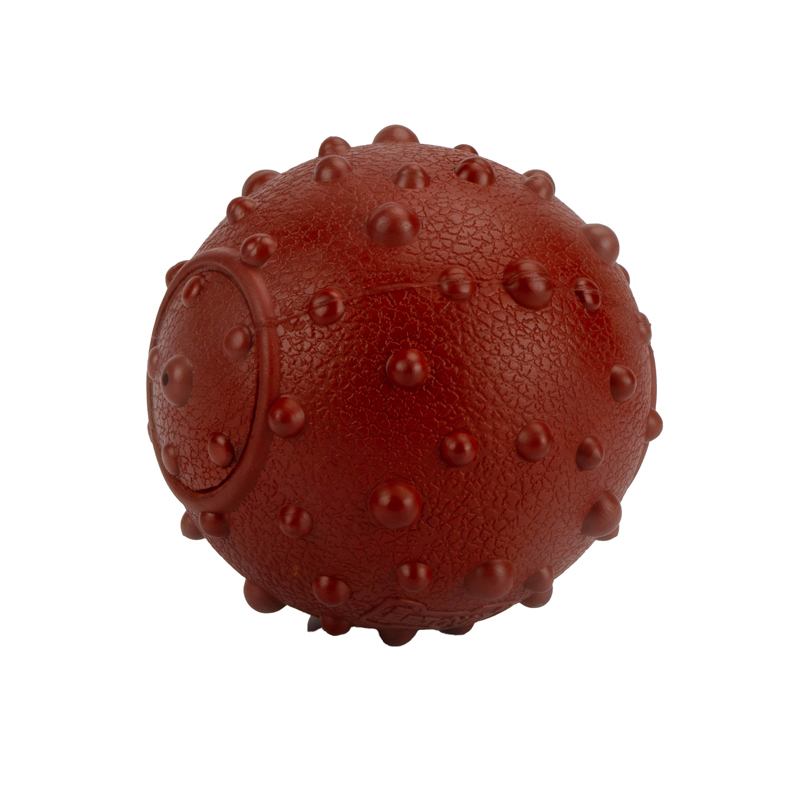 ����Բ����